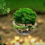 Aplikacje pomagające w zakupach zero waste