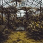 Jak podróżować z dzieckiem w zgodzie z naturą