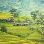 Co zrobić z przeterminowanymi lekami?