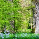 Historia ochrony środowiska w Polsce – od rezerwatów po nowoczesne programy