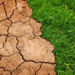 Czy biopaliwa to przyszłość transportu?