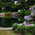 Czy roboty mogą pomagać w ochronie środowiska?