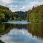 Jak zmniejszyć ilość odpadów w domu?