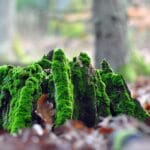 Recykling na lotniskach – czy działa?