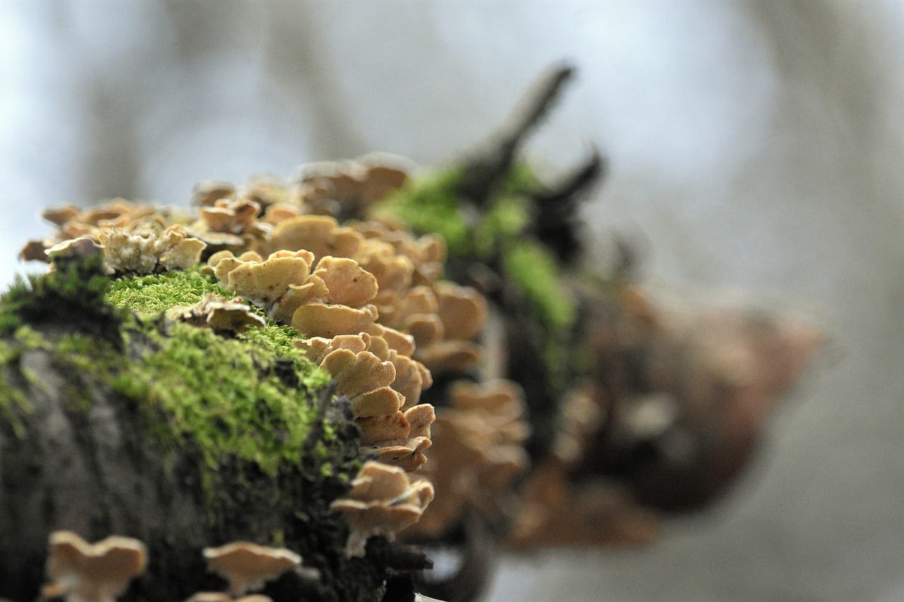 Jak zmniejszyć ilość plastiku w kuchni?