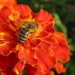 Zrównoważona moda – gdzie kupować i czego unikać