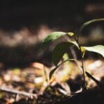 Jak prać, by było ekologicznie i taniej?