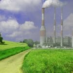 Czy sadzenie drzew zawsze pomaga planecie?