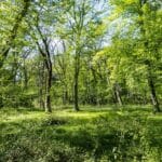 Mity i fakty o odnawialnych źródłach energii