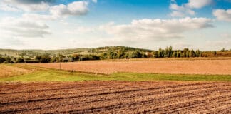 Skuteczne fungicydy i herbicydy w 2026 roku – sprawdź naszą ofertę Skuteczne fungicydy i herbicydy w 2026 roku – sprawdź naszą ofertę